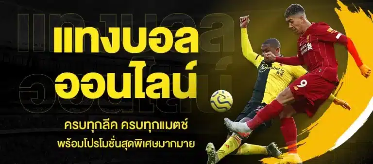 แทงบอลผ่านเว็บ